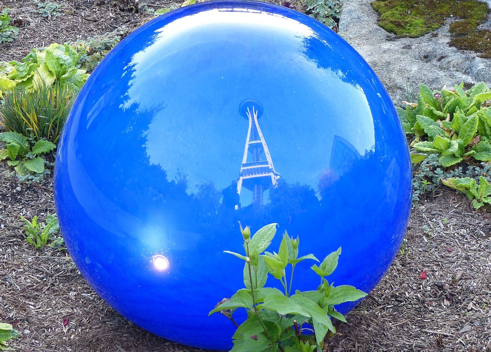A blue glass sphere in the Chihuly garden reflecting the Space Needle