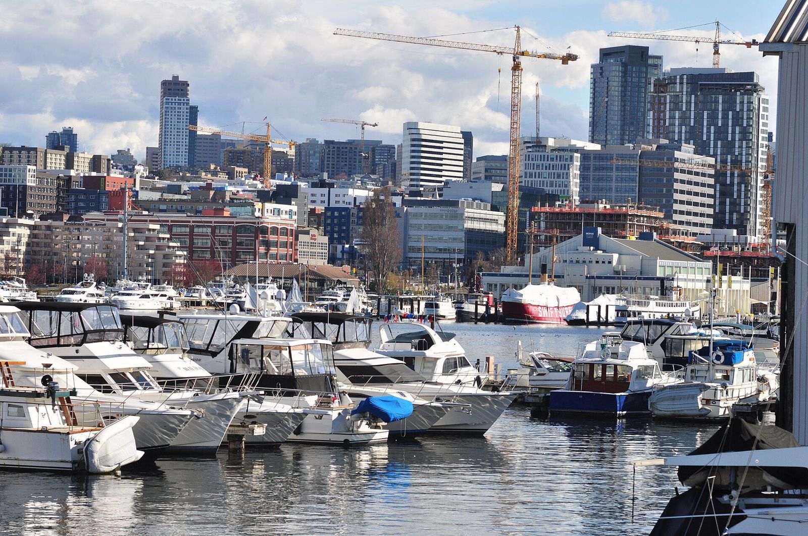 Lake Union marina