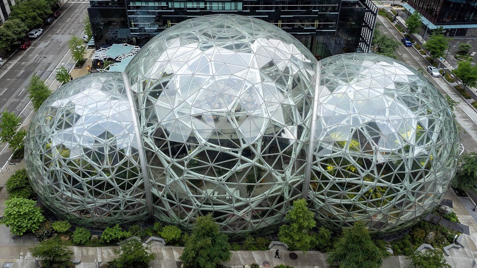 The Amazon Spheres from above